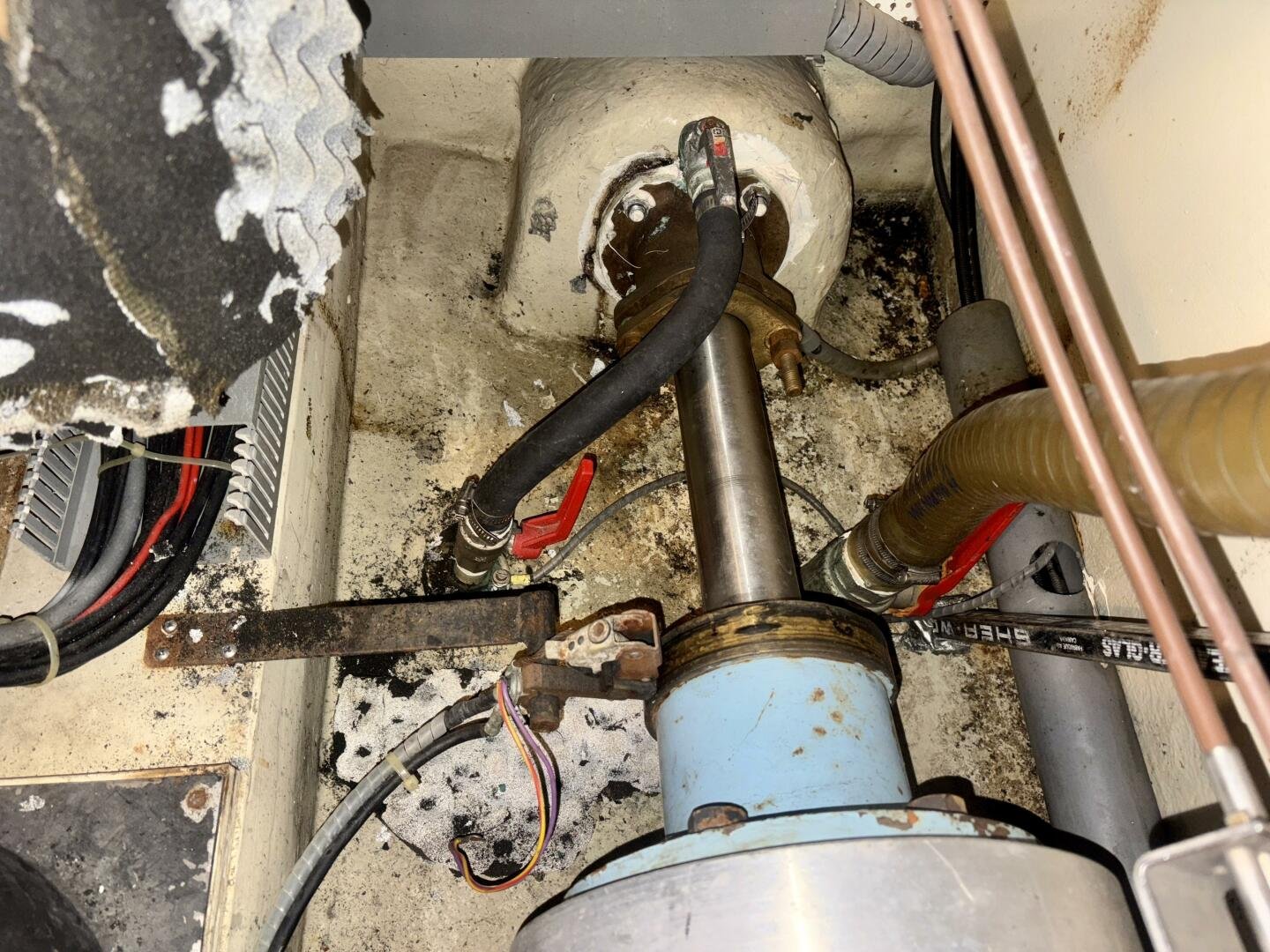 1990 Neptunus 145 Aft Cabin